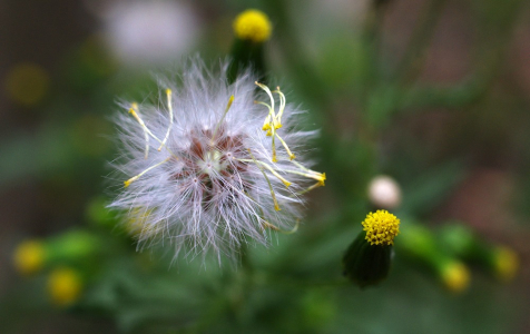Podzimn&iacute; chm&yacute;ř&iacute;.