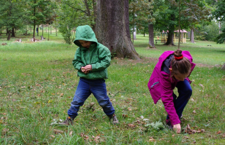 Sb&iacute;r&aacute;n&iacute; žaludů na domeček pro skř&iacute;tky.