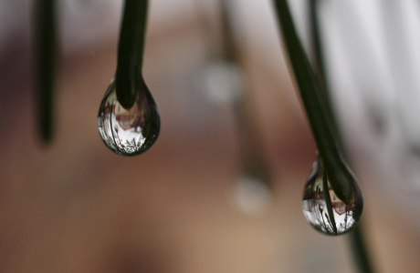 N&aacute;&scaron; domek v kapk&aacute;ch.