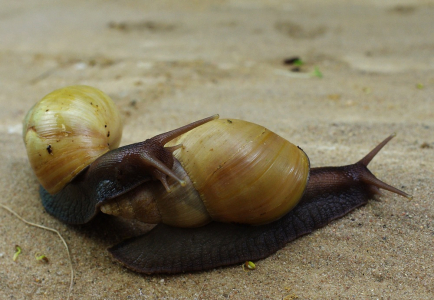 Středečn&iacute; inspirace.
