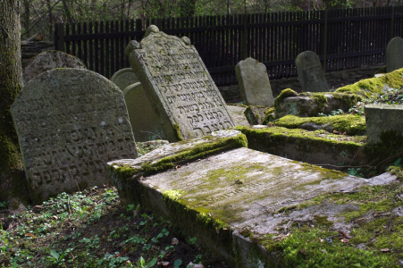 Dokonal&aacute; symbi&oacute;za.