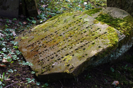 Kameny v jarn&iacute;m světle.