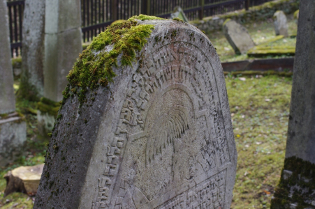 Palov&yacute; motiv.