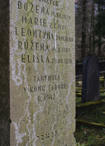 Smutn&yacute; konec cel&eacute; rodiny.