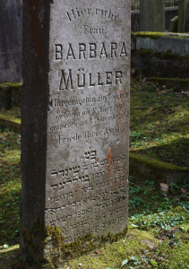 Če&scaron;tina a hebrej&scaron;tina, kr&aacute;sně čiteln&aacute;.