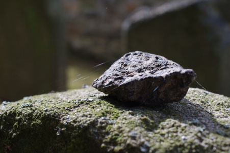 Kam&iacute;nek na hrobě.