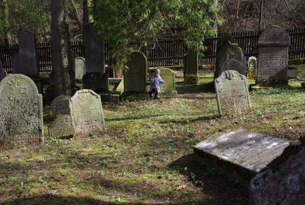 Esterka trpasl&iacute;ček.