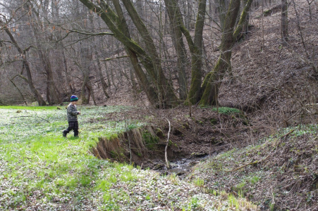 Maťo&scaron;ek v divočině.